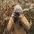 User avatar 3