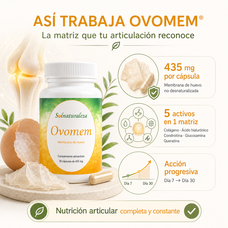 Así trabaja OVOMEM®: