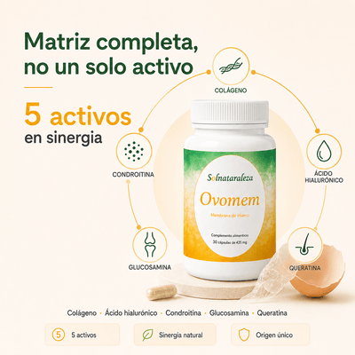 OVOMEM® — La matriz articular completa - Solnaturaleza2