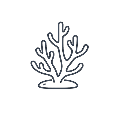 Sin alterar la pureza del coral